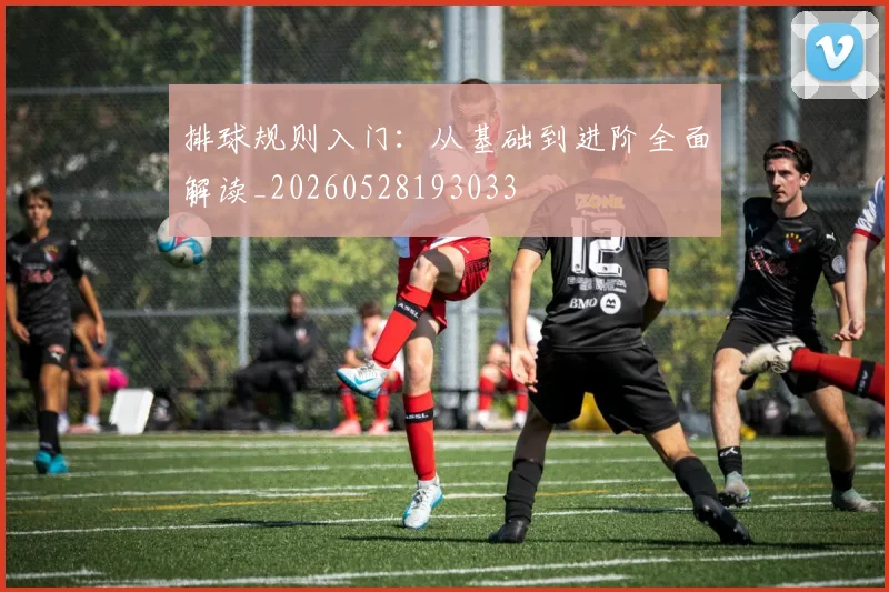 排球规则入门：从基础到进阶全面解读_20260528193033