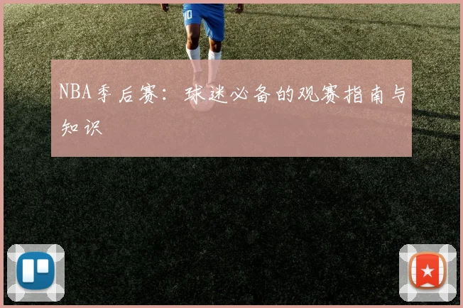 NBA季后赛：球迷必备的观赛指南与知识
